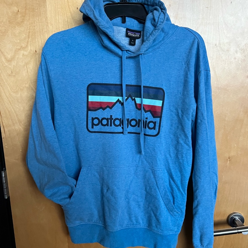 Patagonia hoodie in good condition!
